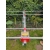 ANTENA DUAL-BAND MOXON-BEAM 28/50 MHz 2+2el. 150cm